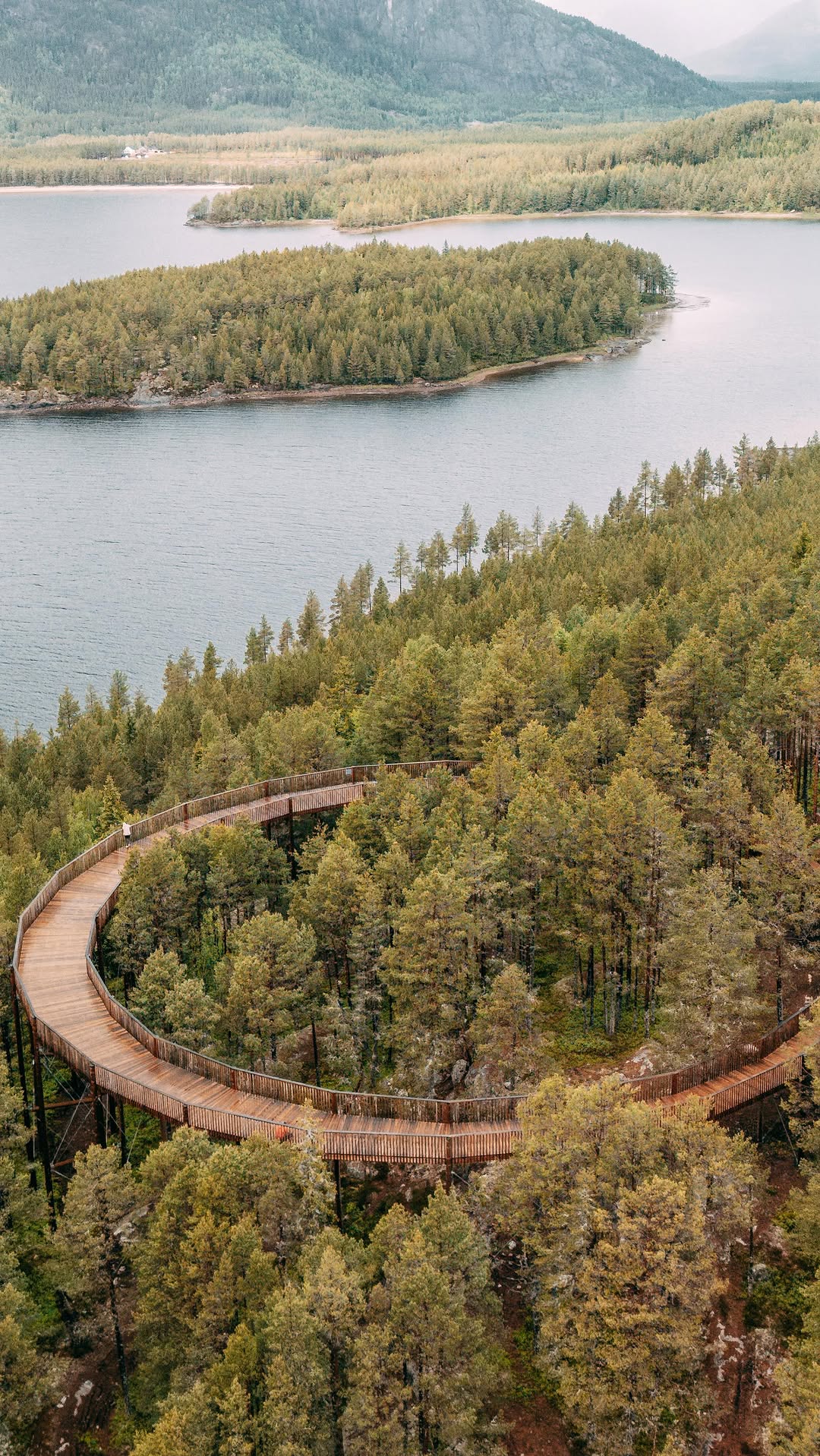 Norwegian Treetop Walks Offer Epic Views