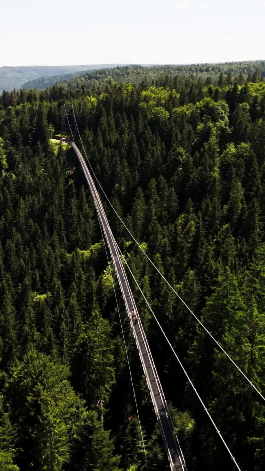 2 Nature spots in Baden-Württemberg
