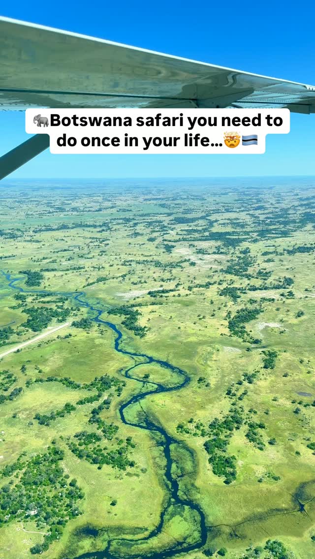 Botswana's Wild Safari Adventures in Chobe and Okavango