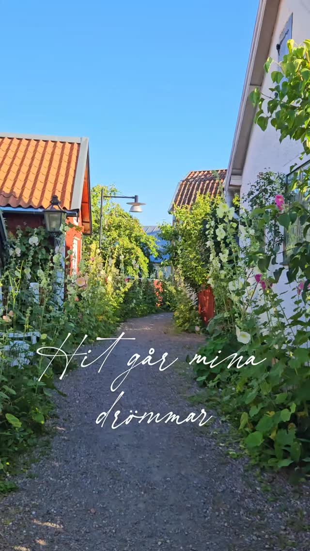 Discover Medieval Charm in Söderköping
