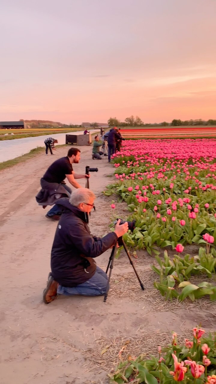 3 Places in Netherlands