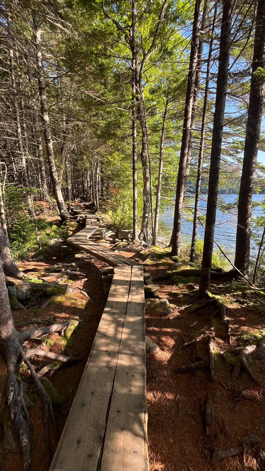 Easy and Pretty Acadia National Park Trail