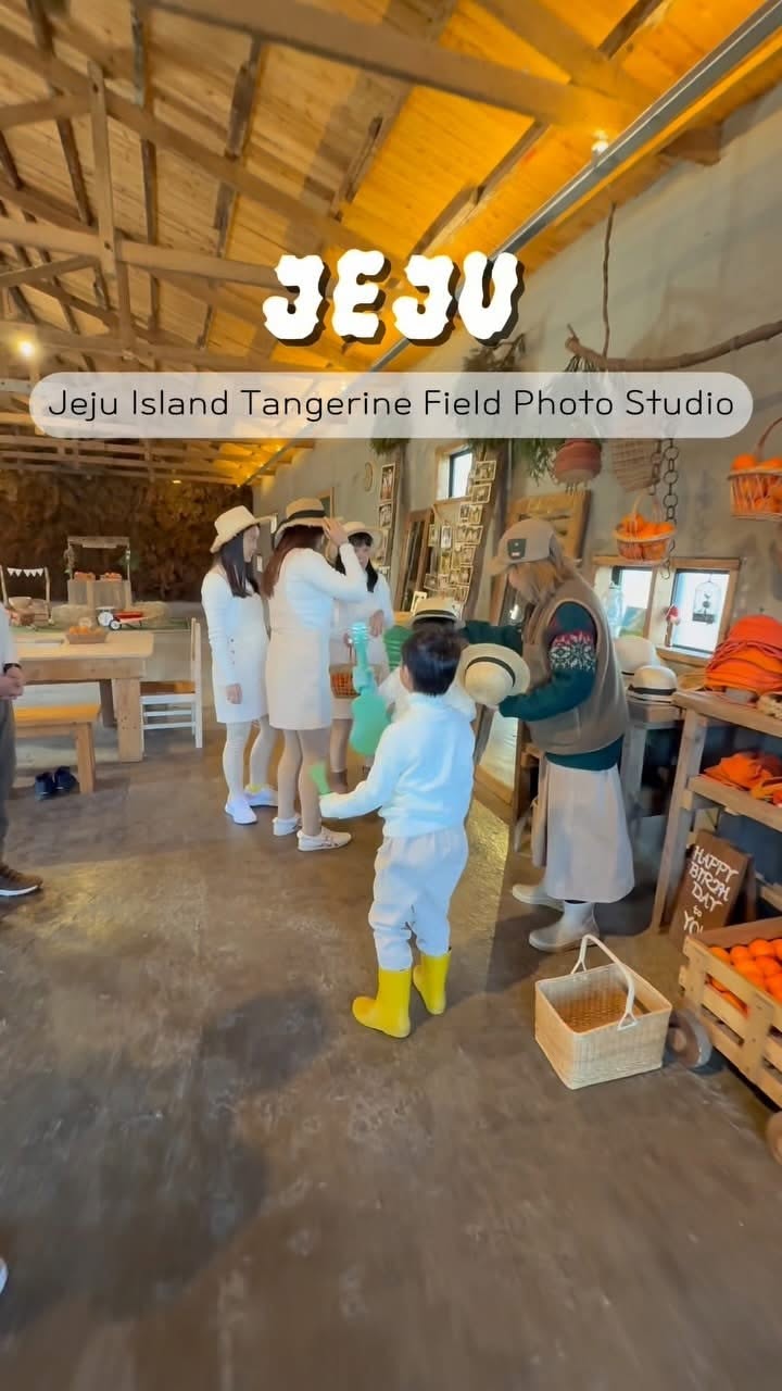 Gyulban Studio: Jeju's Tangerine Field Photography