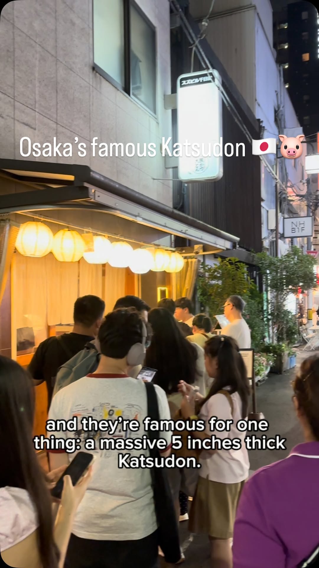 Osaka's Thickest Katsudon Review