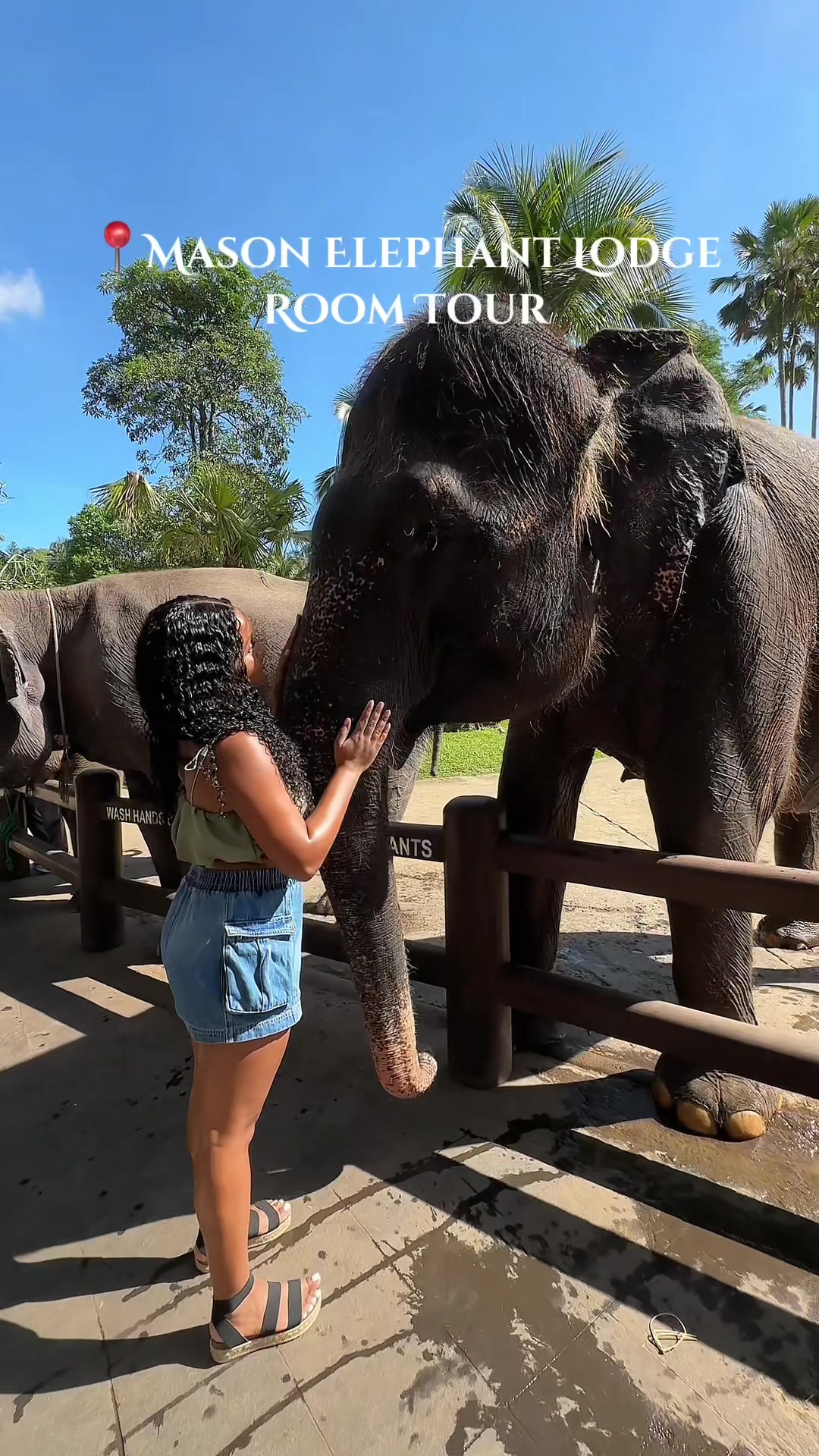 Bali Elephant Park Offers Insight Into Lodge Rooms