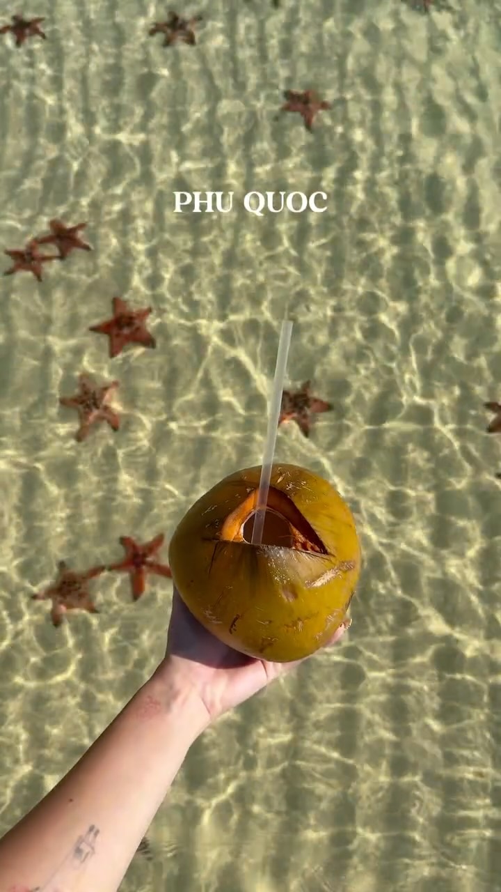 Vietnam Highlights: Cities, Bays, Mountains, and Beaches
