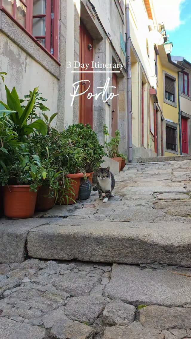 Porto: A Three-Day Itinerary