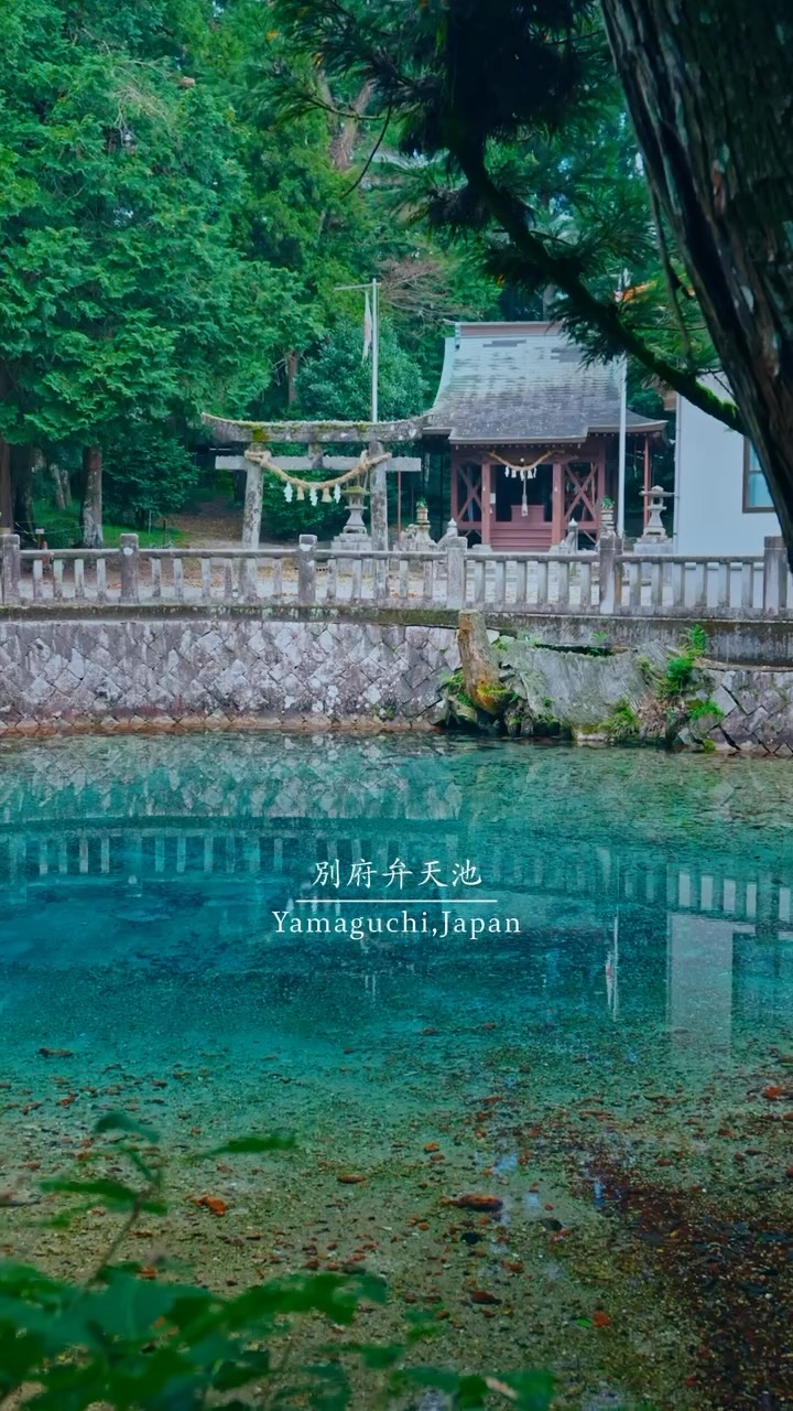 Beppu Benten Pond: A Crystal Clear Japanese Water Source