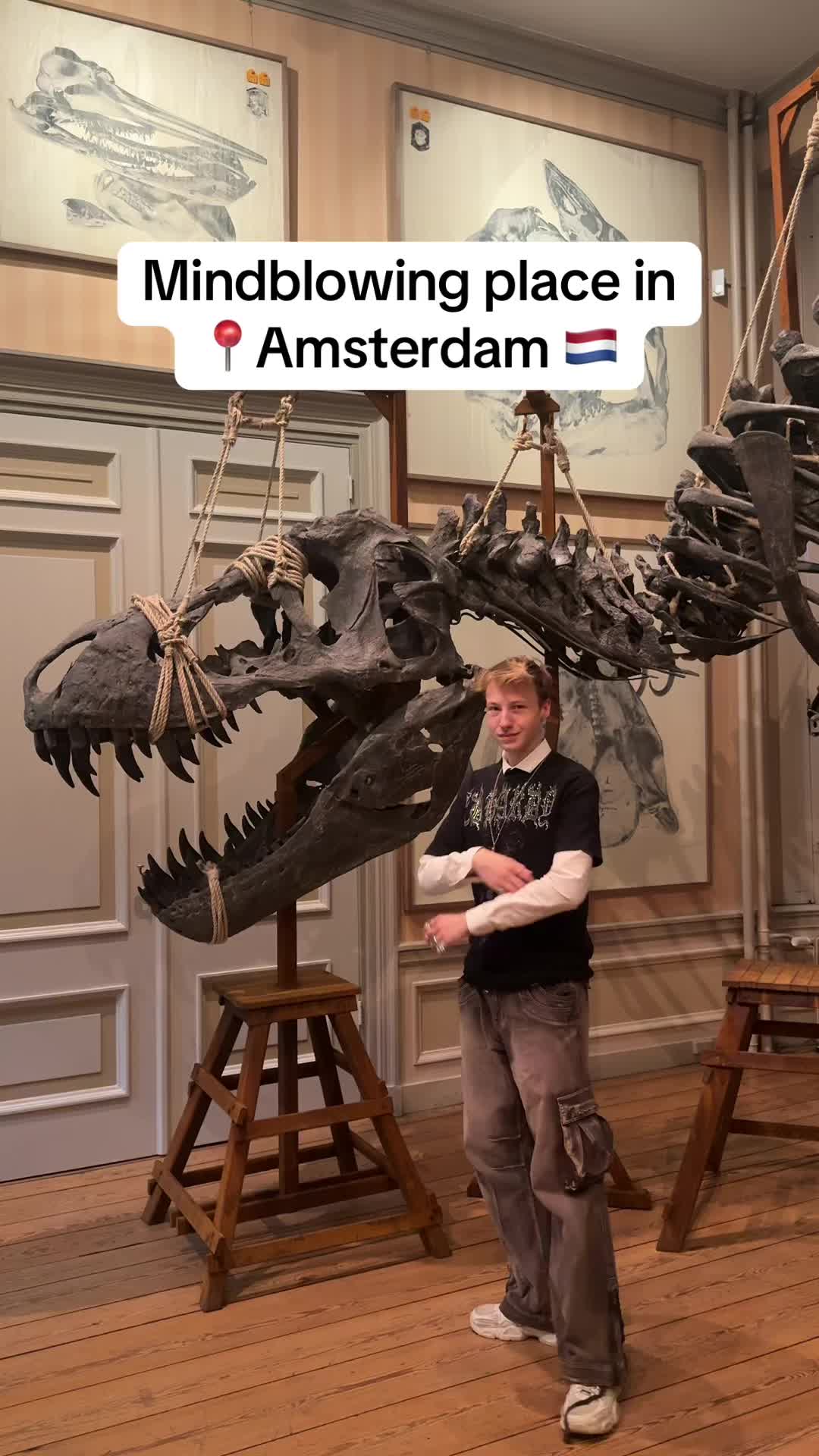 3 Places in Amsterdam