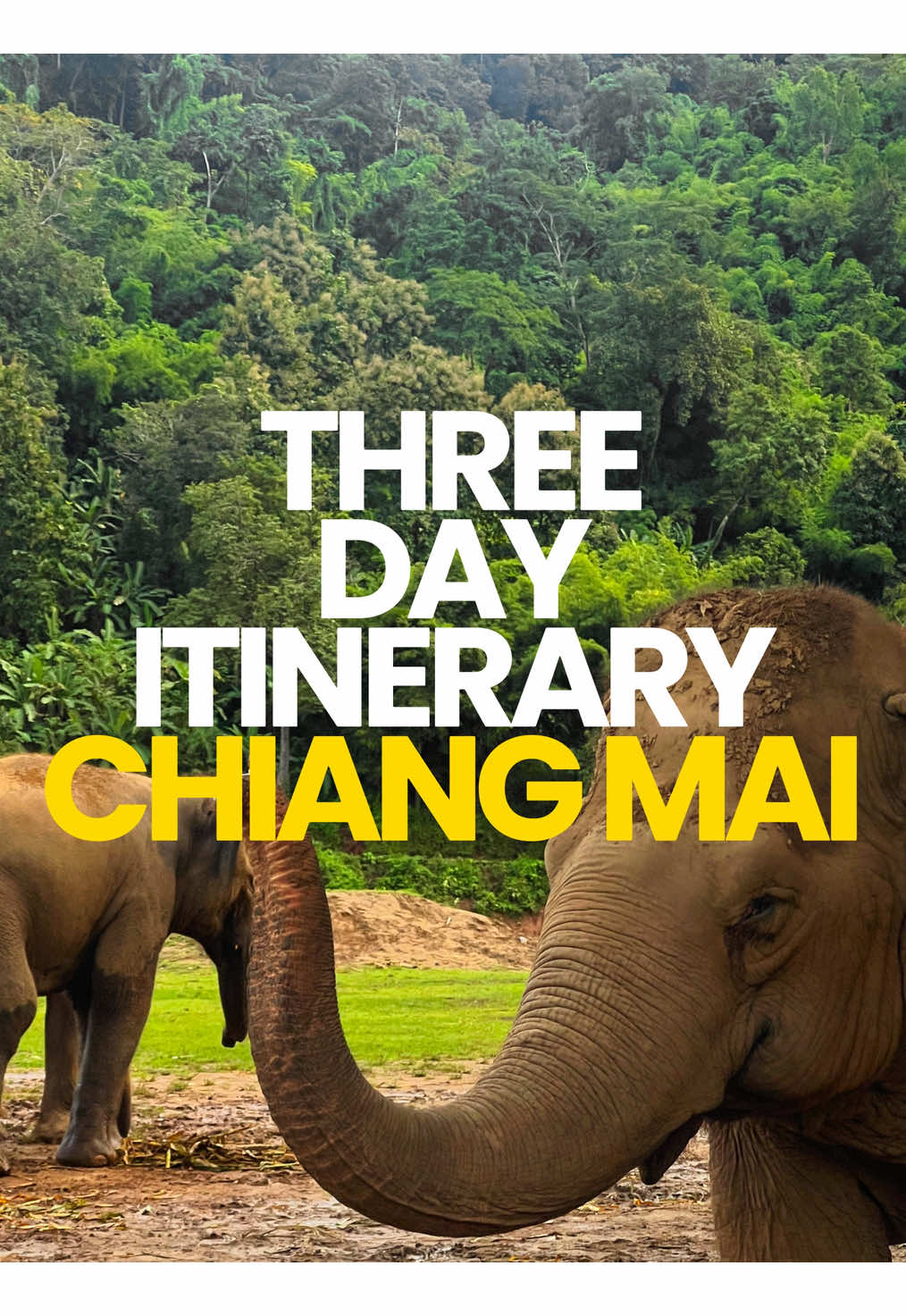 5 Places in Chiang Mai