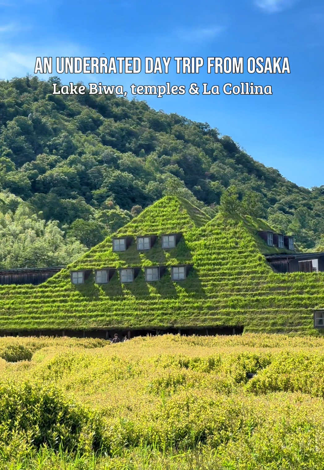6 Attractions in Shiga
