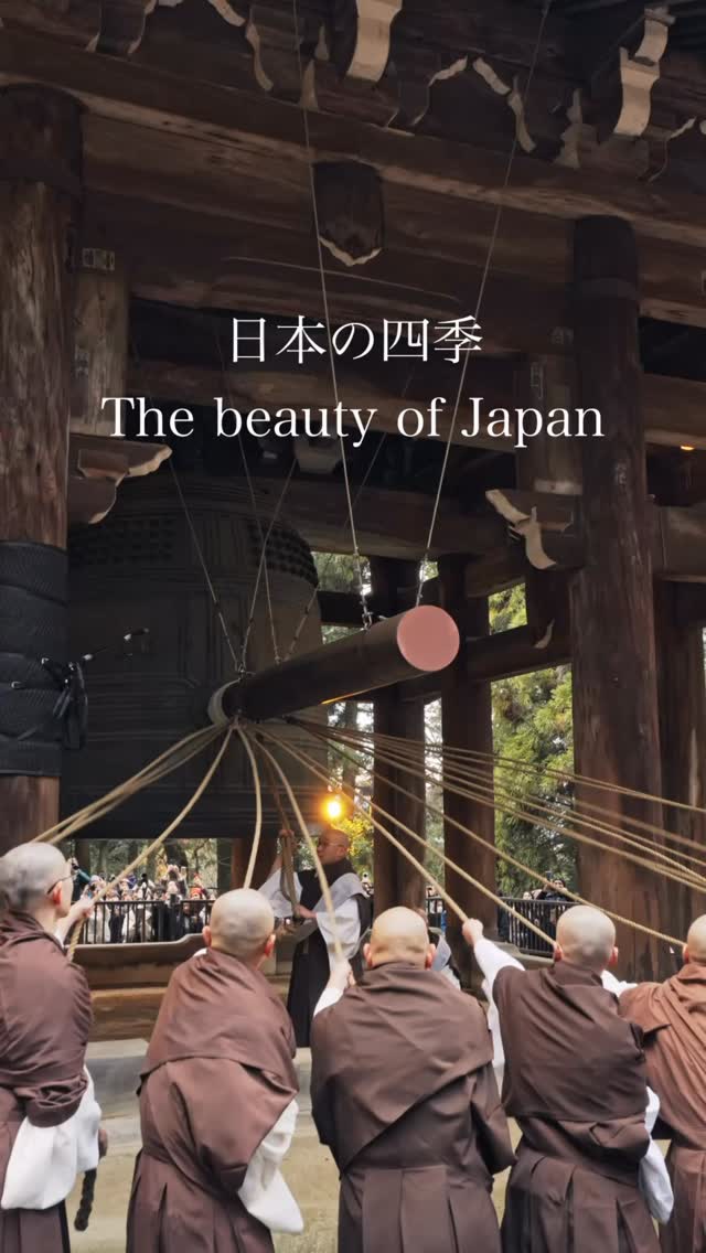 Beautiful Japanese Shrines and Temples Across Regions
