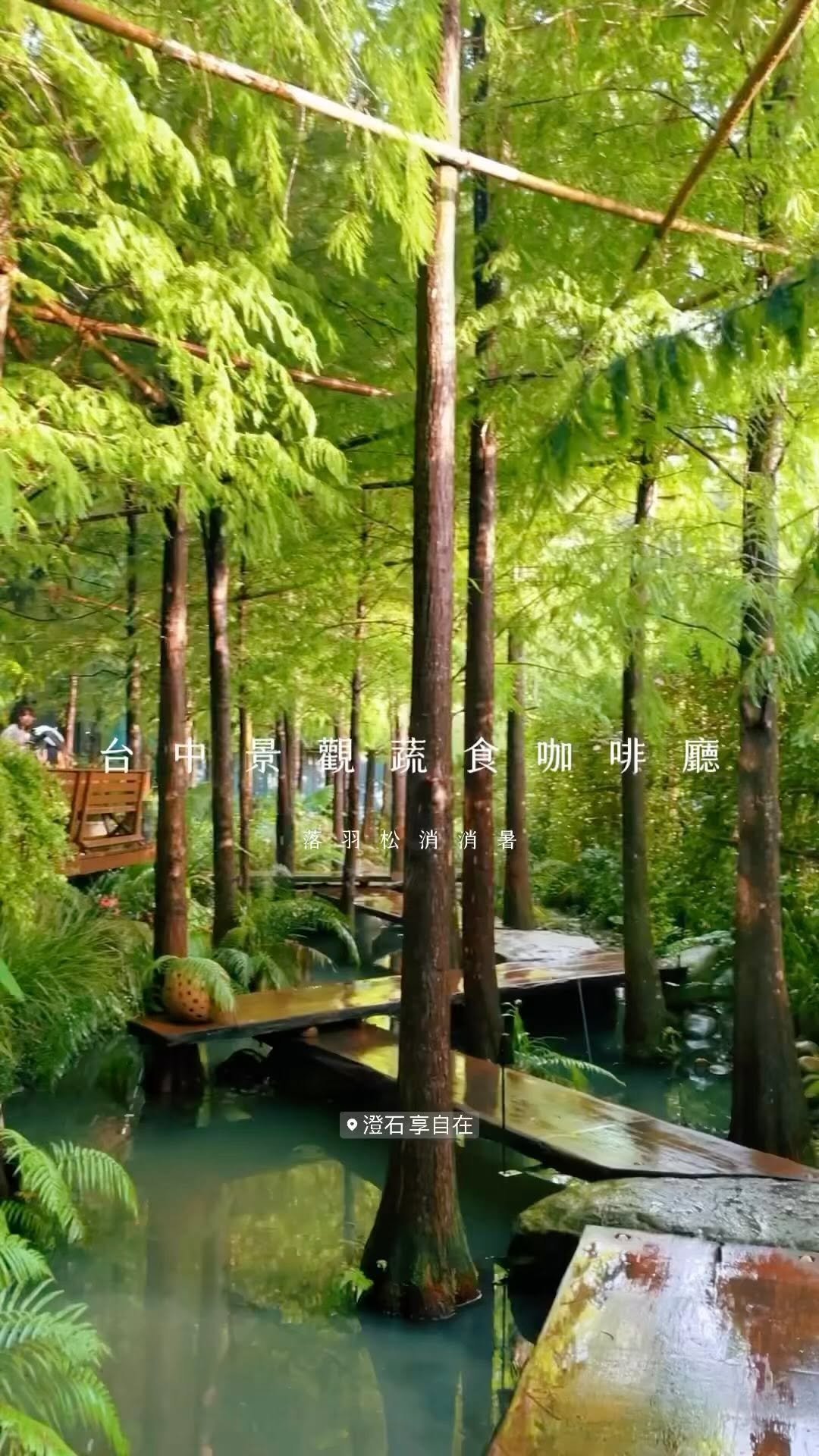 Mountain Cafés with Metasequoia Paths and Goats