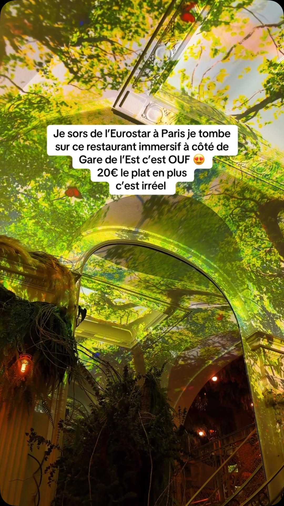 Parisian Train Station Experiences