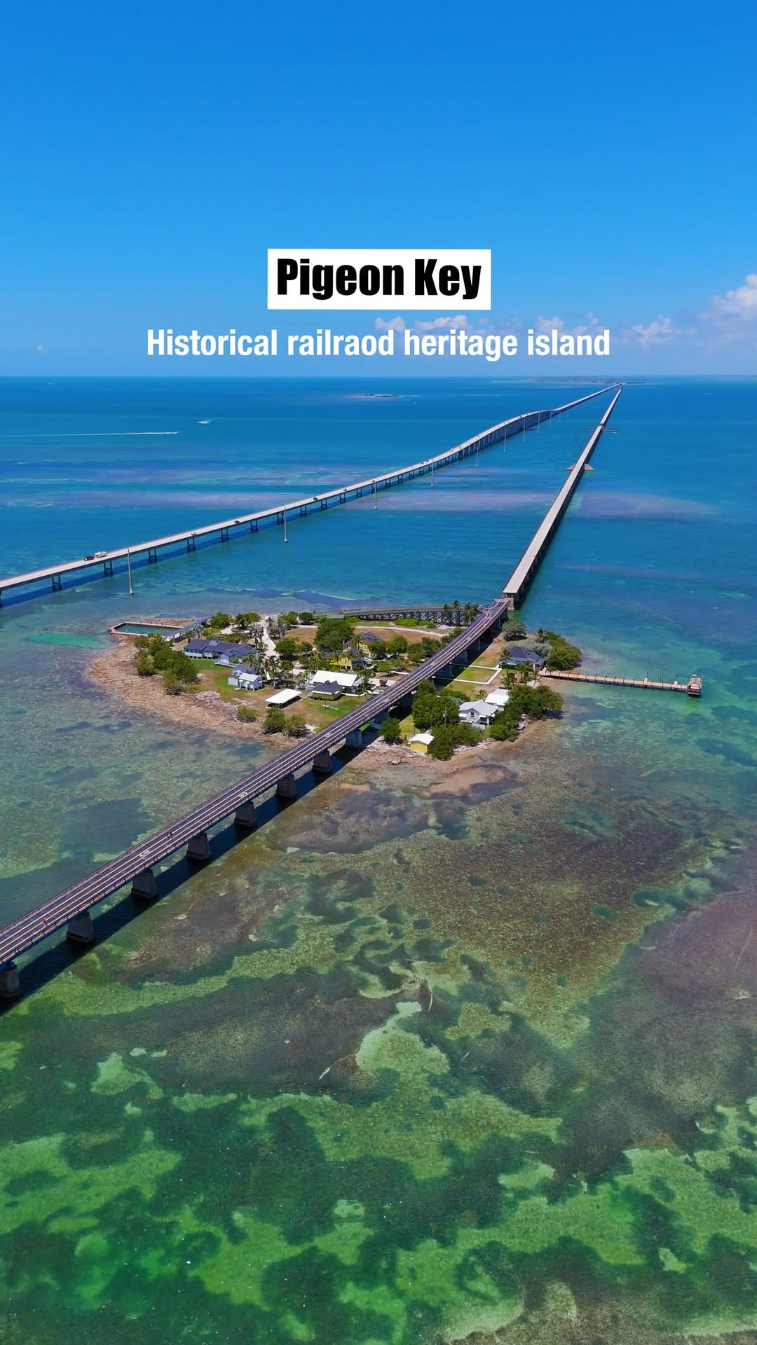 Florida's Hidden Natural Wonders And Unique Attractions