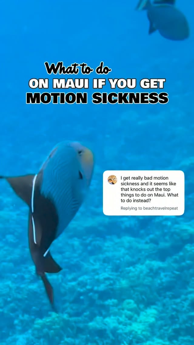 Maui's Best Nature, Food, and Scenic Spots