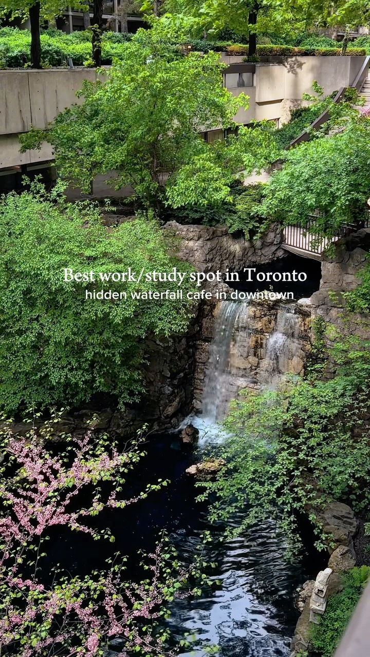 Sheraton Centre's Dual Citizen Cafe: A Tranquil City Escape