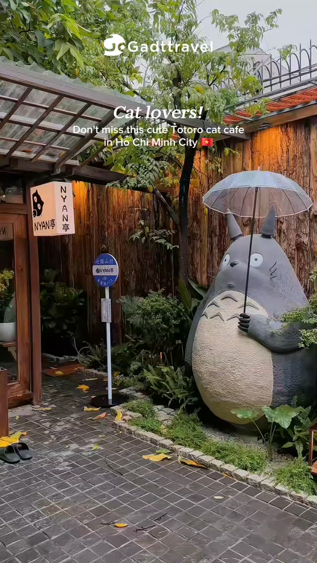 Cat Cafe Offers Ghibli-Inspired Relaxation
