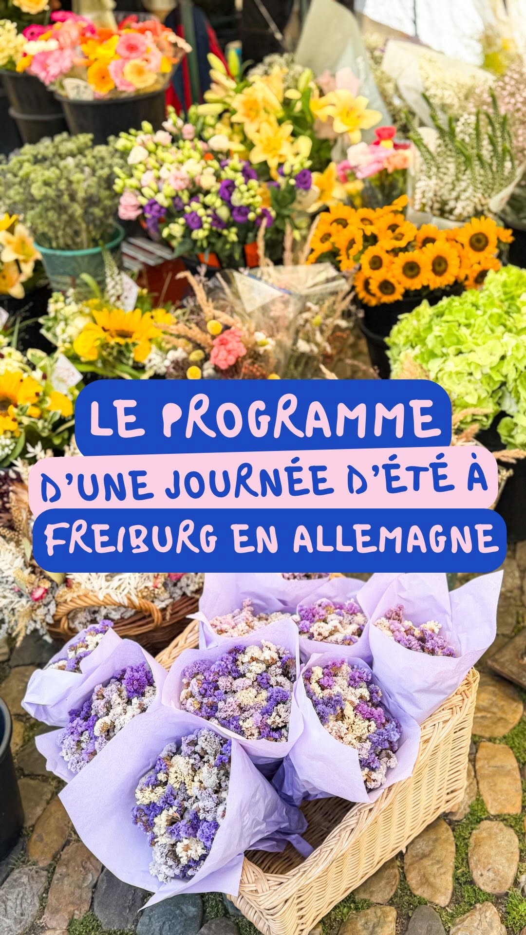 Freiburg Attractions: Gardens, Markets, and Cafes