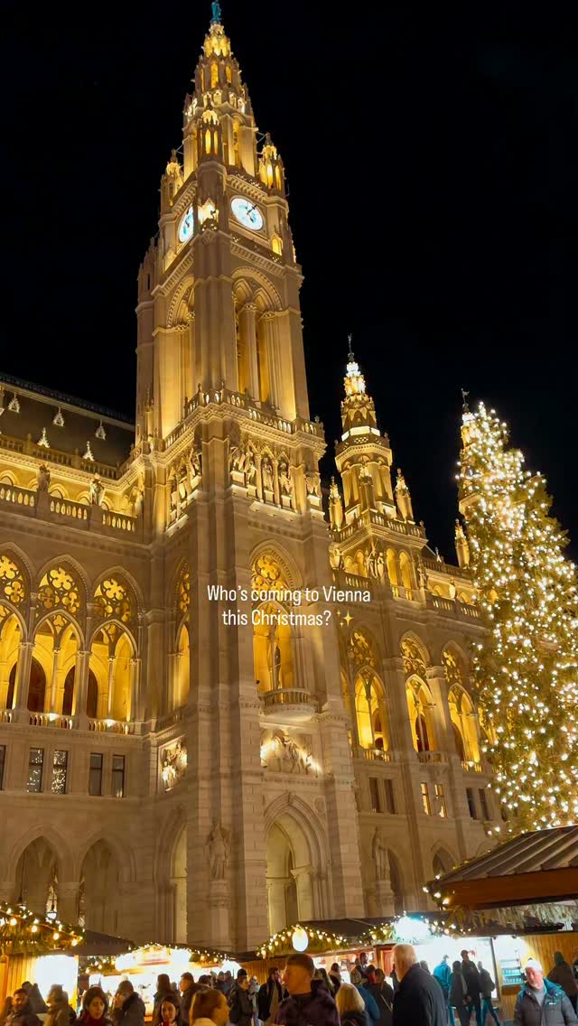 Viennese Palaces and Christmas Markets
