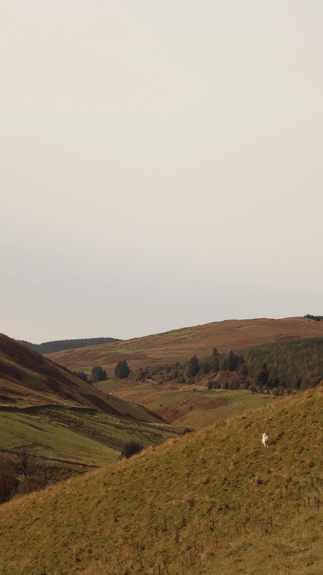 Barbour Wax Jacket Shopping In Scotland