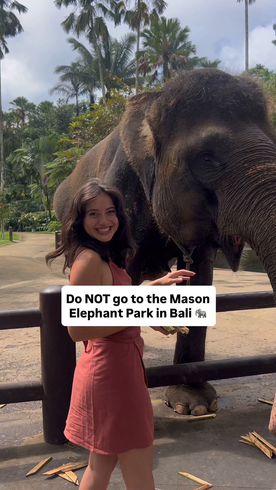 Elephant Encounters And Activities In Bali