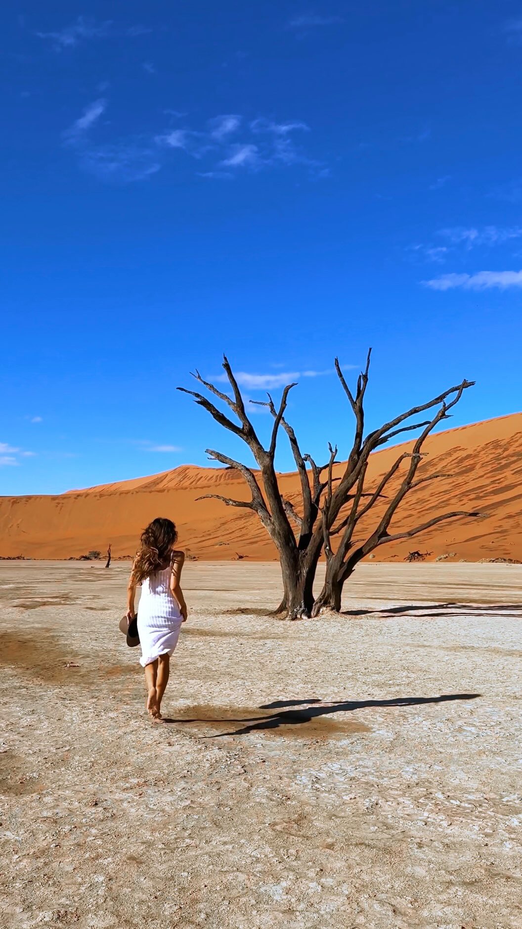 Namibia's Diverse Landscapes Road Trip Highlights