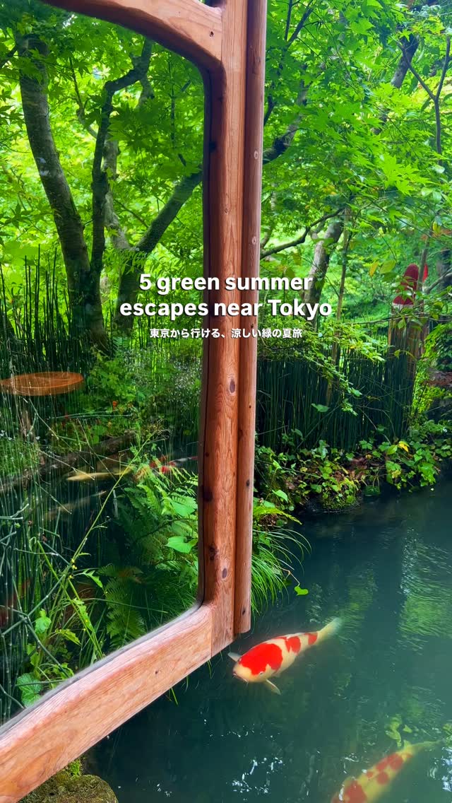 Tokyo Area Nature Getaways For Car-Free Travel