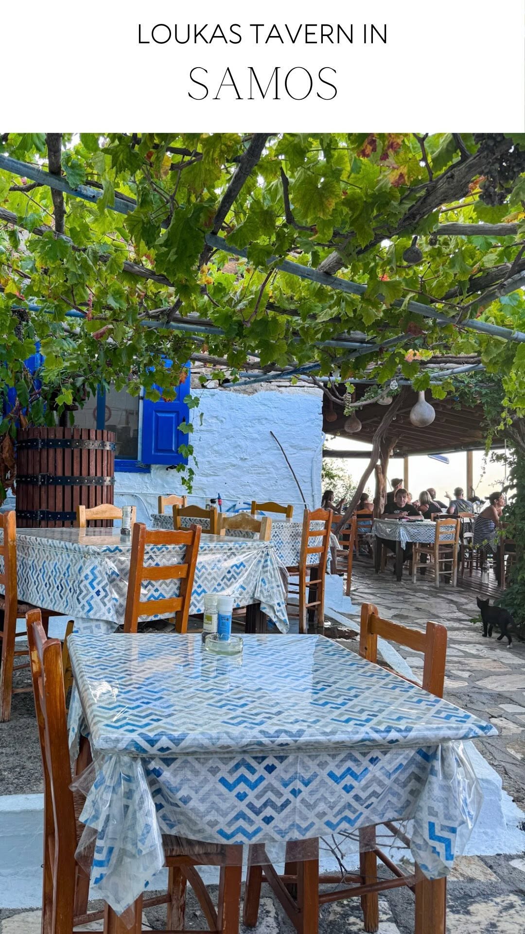 Samos Tavernas Offer Stunning Views and Homemade Delights