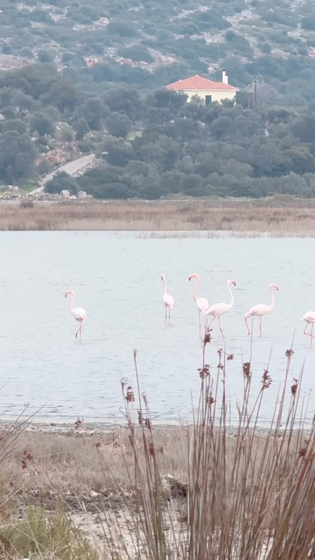 2 Parks in Greece