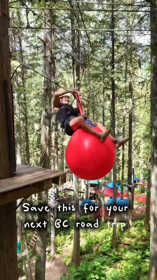 Family Adventure Aerial Courses in Revelstoke & Sicamous