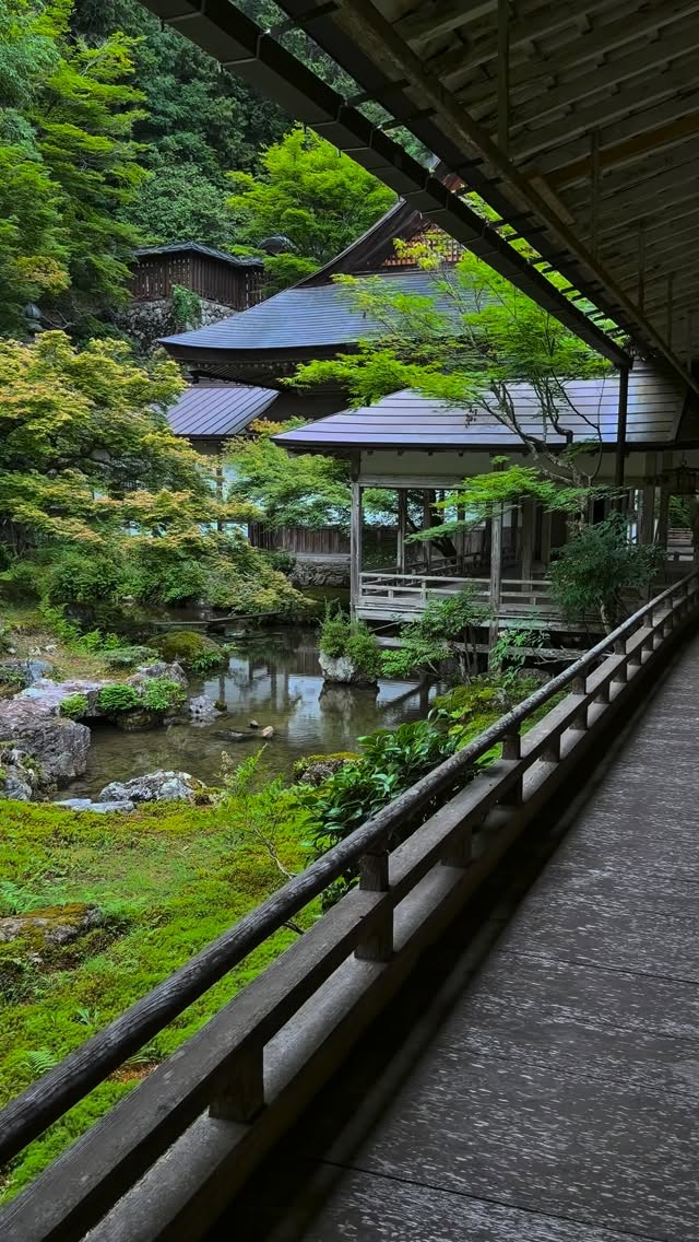Kyoto's Jōshōkō-ji Temple Amidst Nature