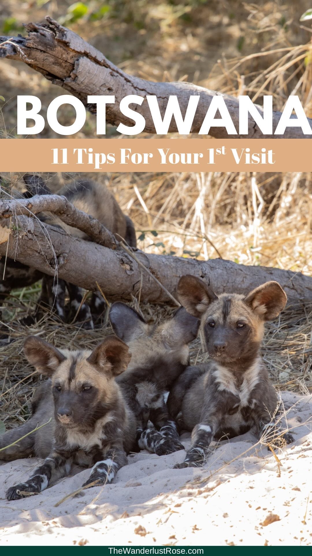 Botswana & Okavango Delta: Raw Nature