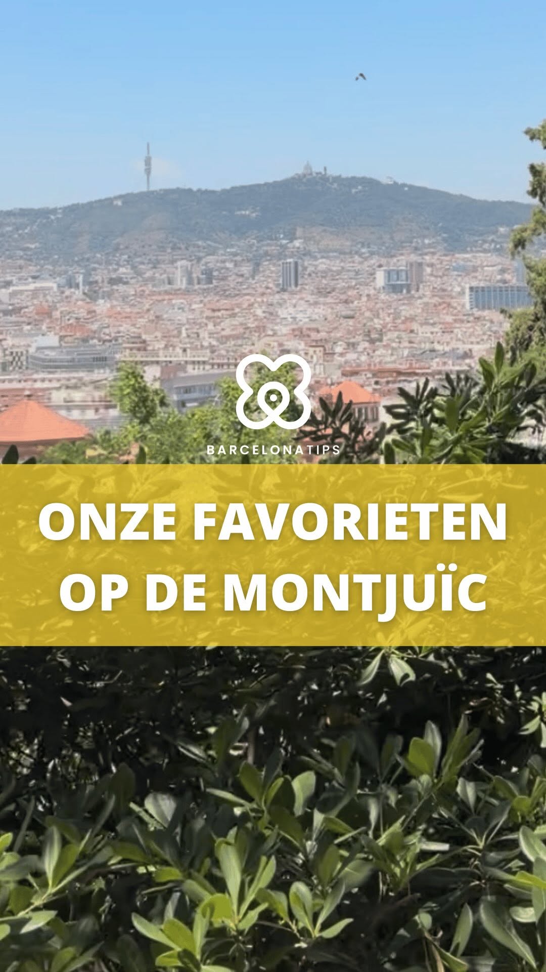4 Attractions in Barcelona