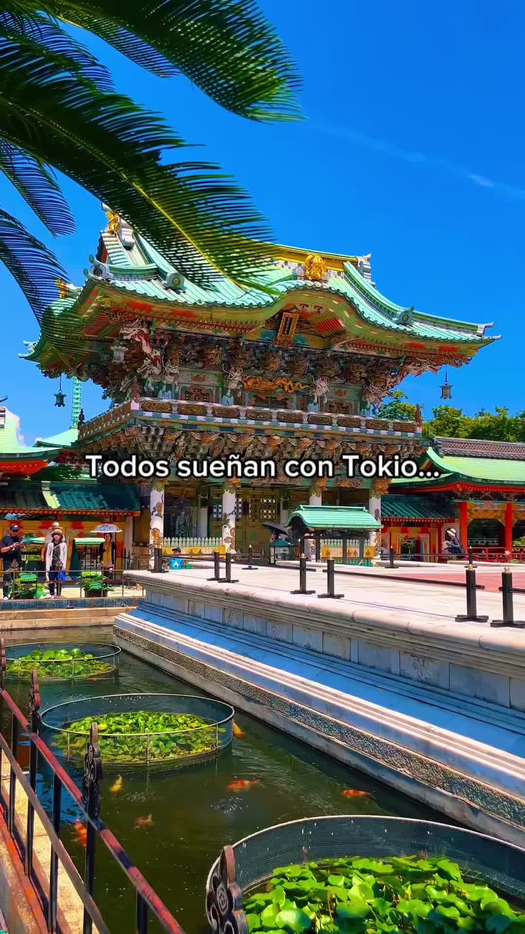 Hidden Japanese Temples and Secret Spots