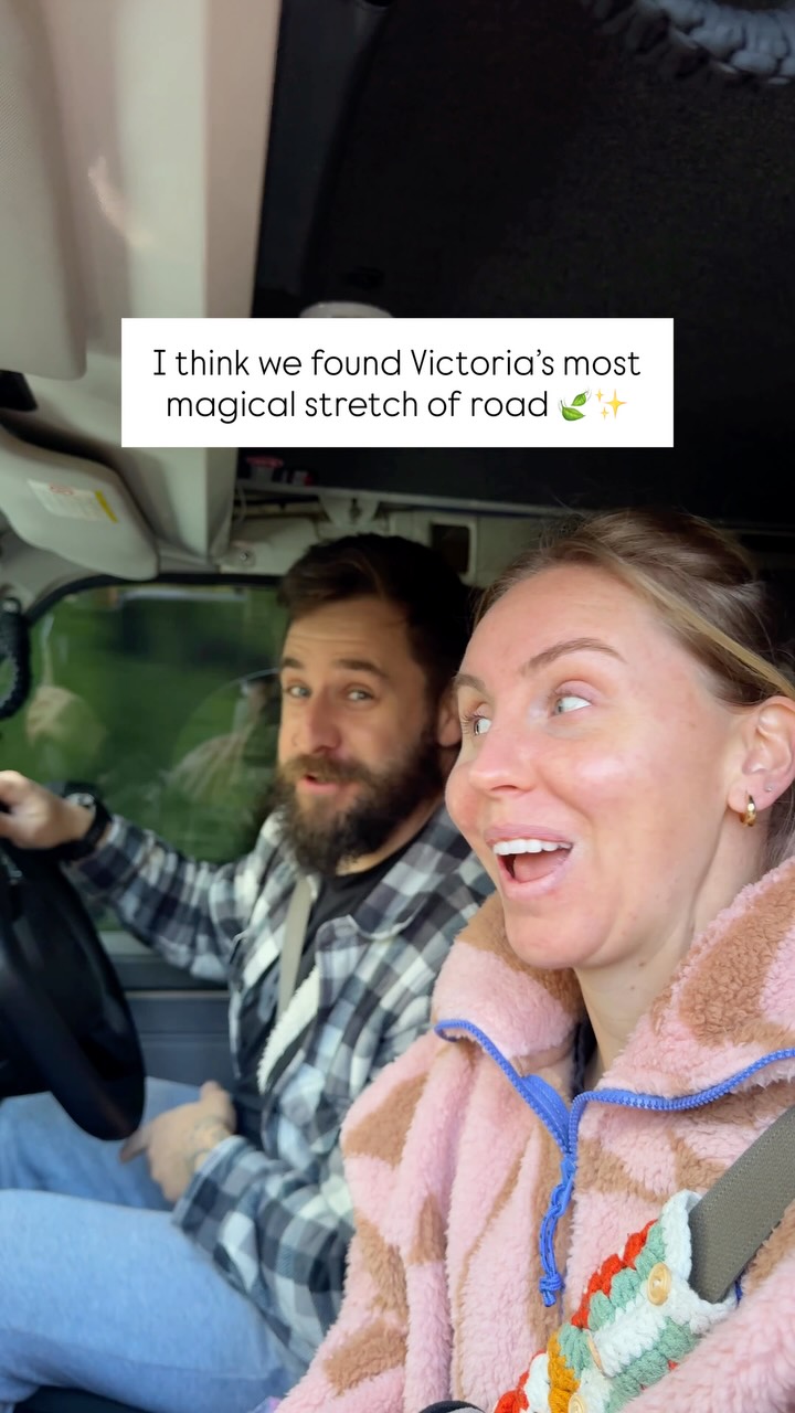 Magical Rainforest Drive Through Great Otway National Park