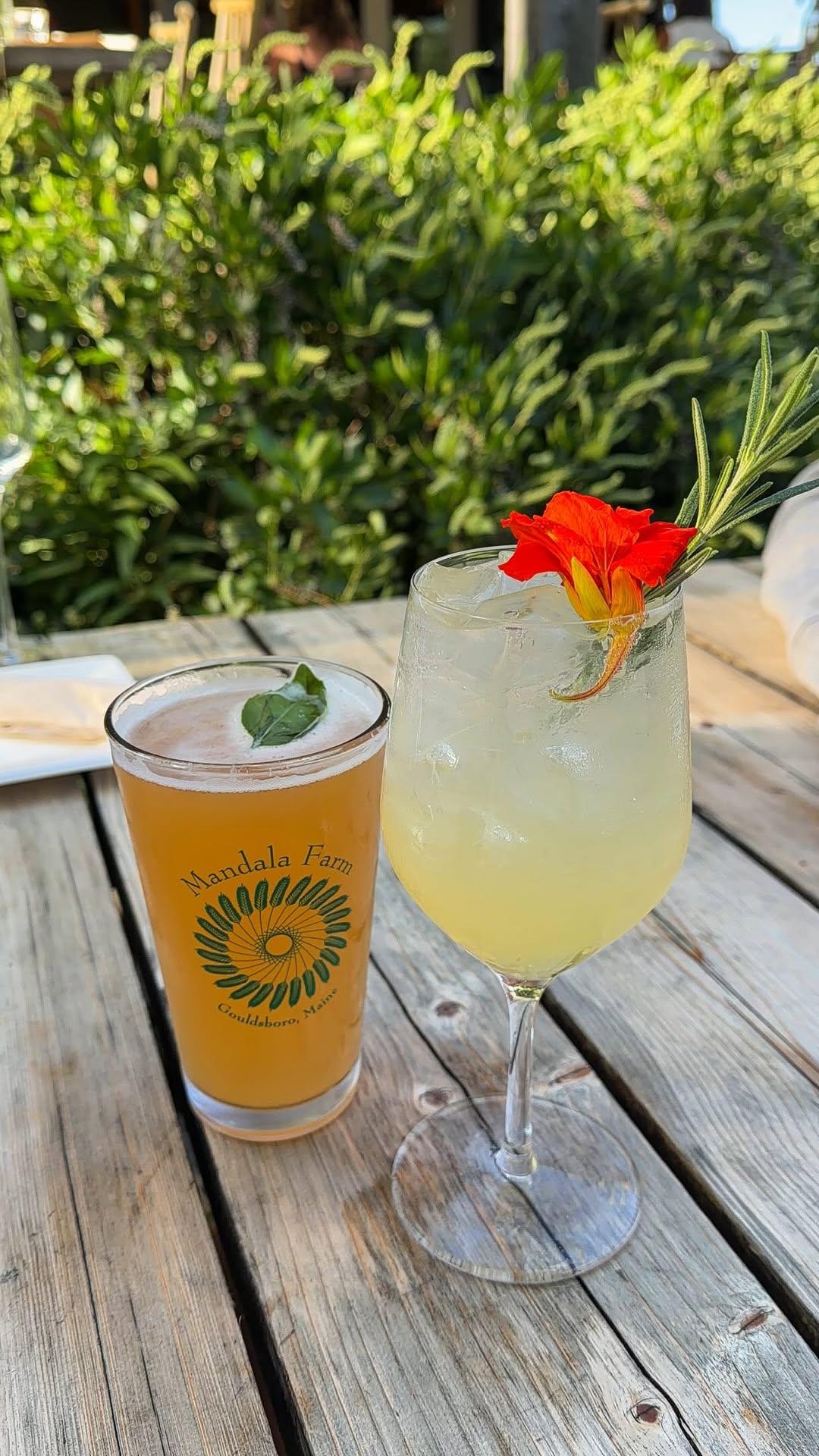 8 Places in Bar Harbor