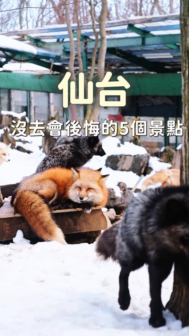 5 Attractions in Miyagi