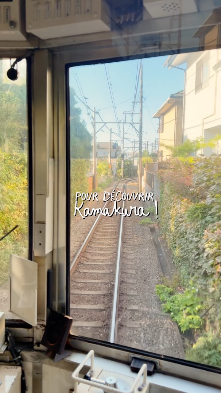 Kamakura: Temples, Gardens, and Culinary Delights