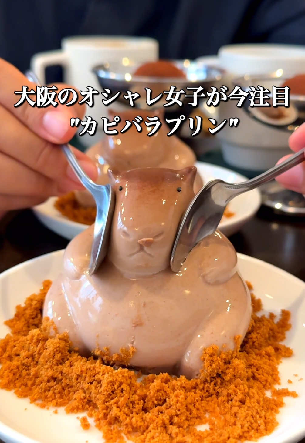 Cute Capybara Pudding at Korean-Inspired Osaka Cafe