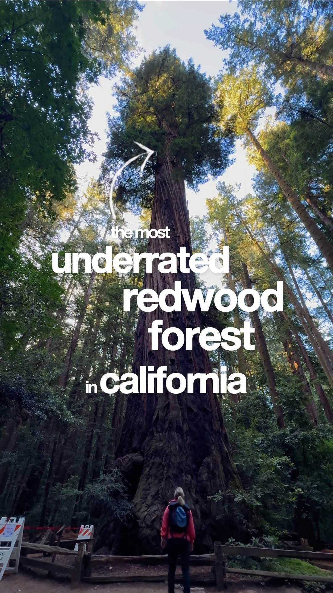 4 Attractions in California