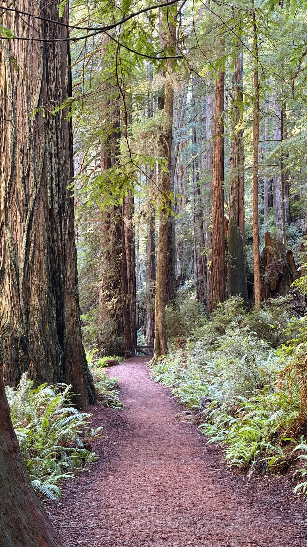 California's Most Stunning Hikes Revealed