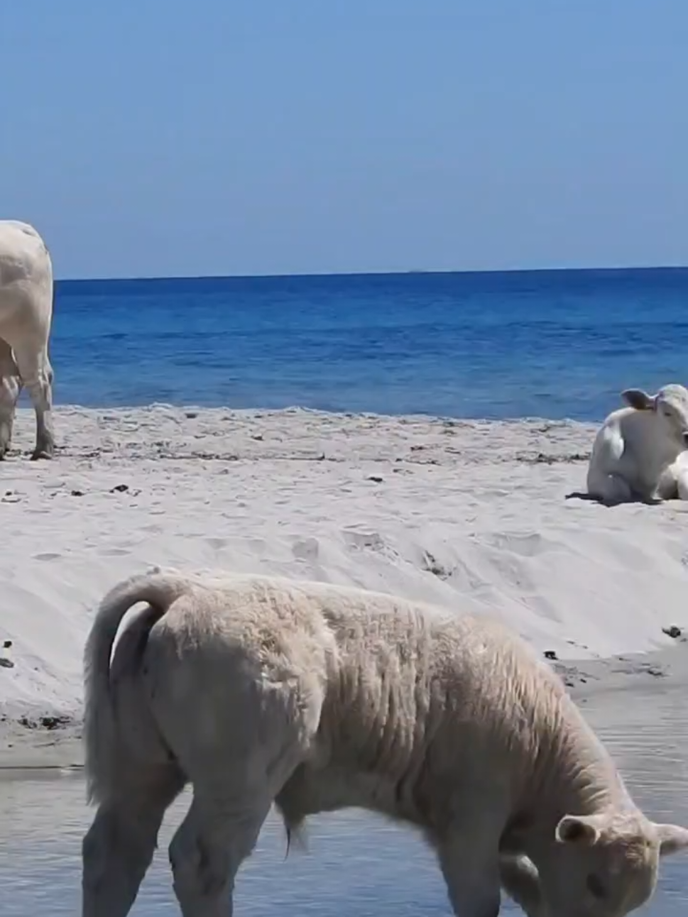 Bèrchida Beach: A Serene Seaside Escape
