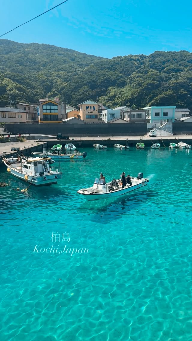 Kashiwajima: Japan's Transparent Island Beaches