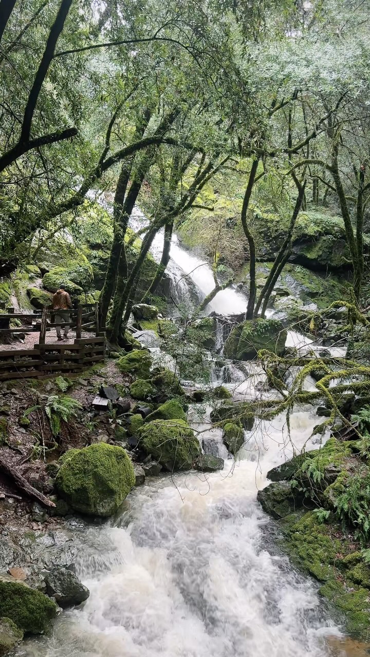 Cataract Falls Features Lush Scenery And Waterfalls