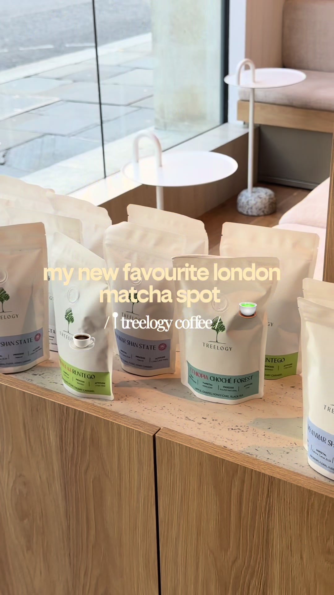Treelogy Speciality Coffee In Paddington