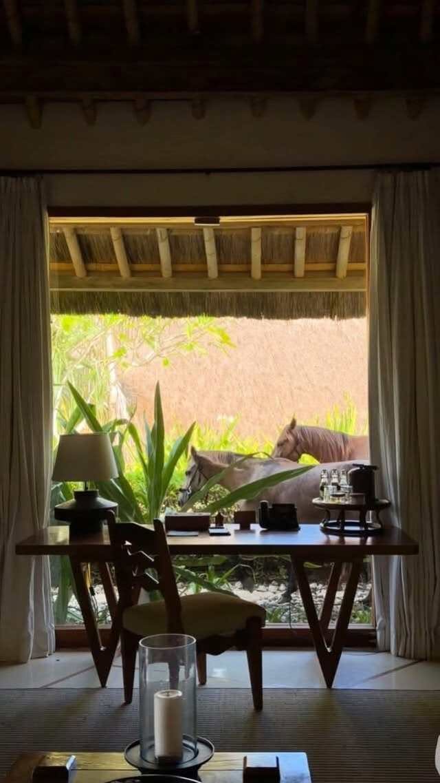 2 Hotels in East Nusa Tenggara