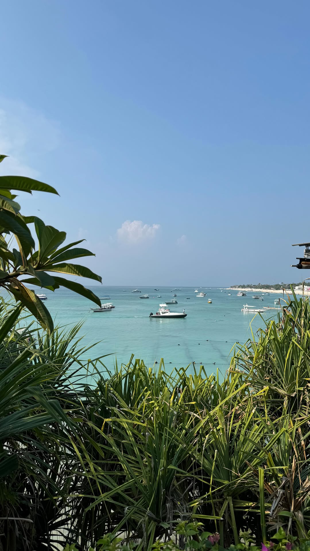 Omma Dayclub Bali: A Gianyar Gem