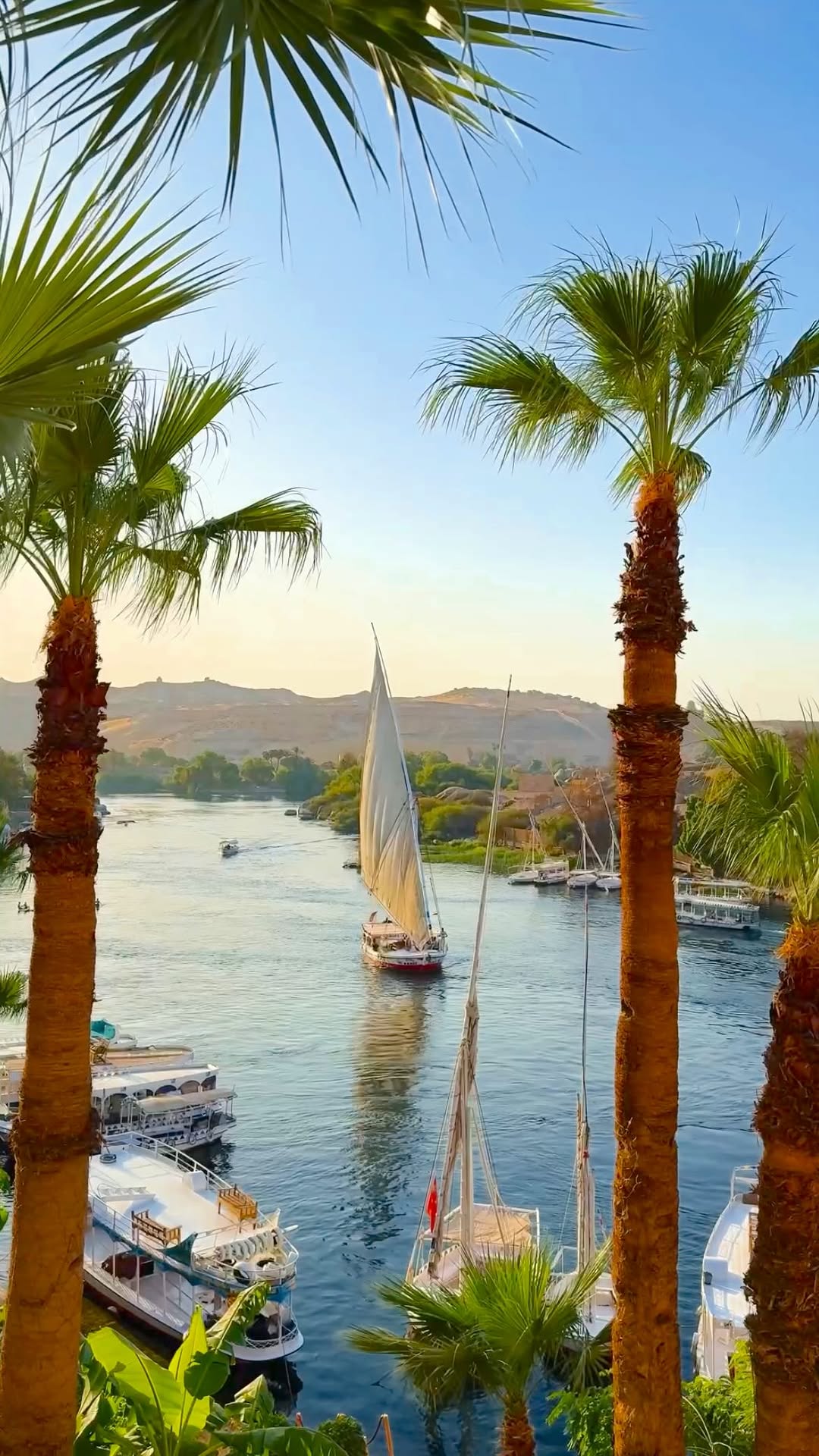 Iconic Egyptian Temples and Oasis Adventures