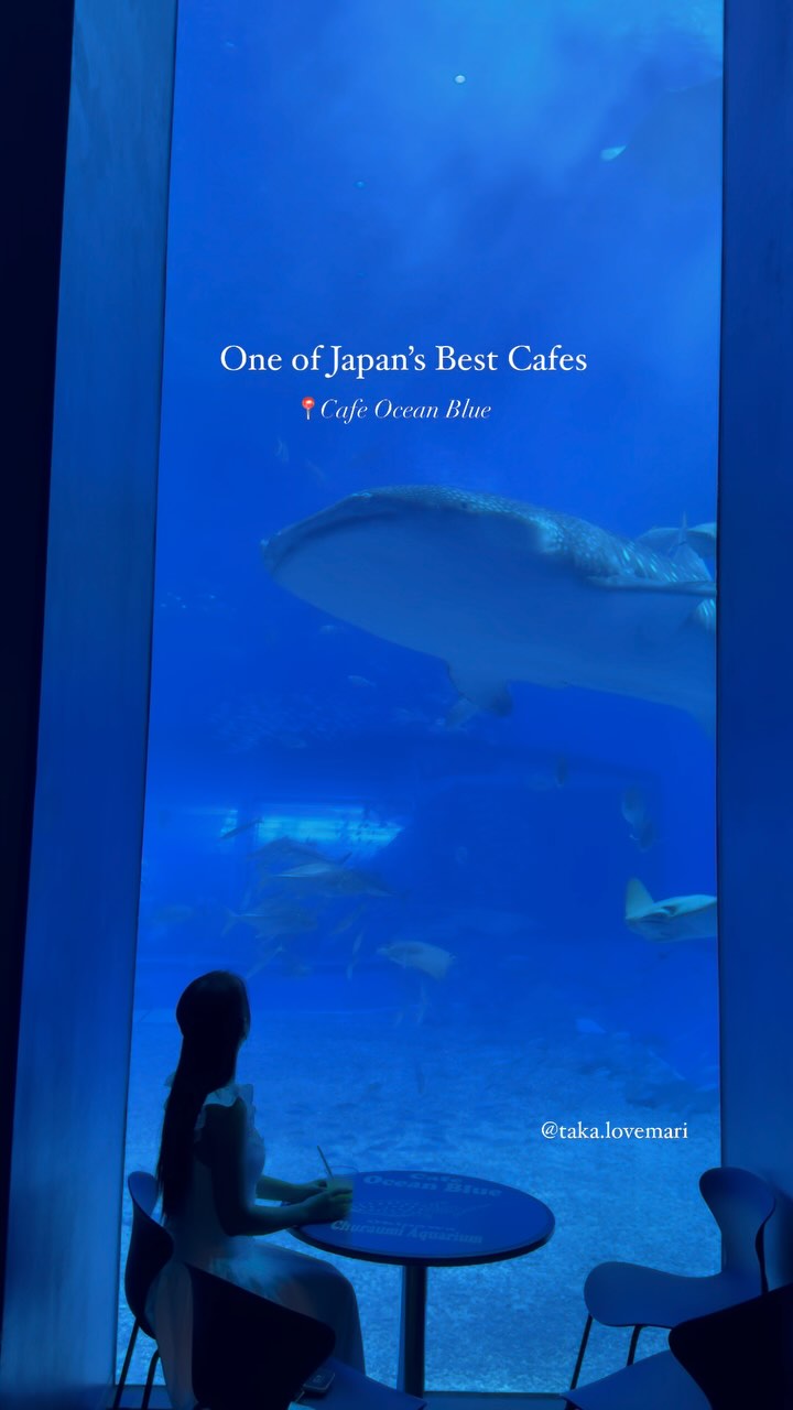Okinawa Aquarium and Ocean Blue Cafe